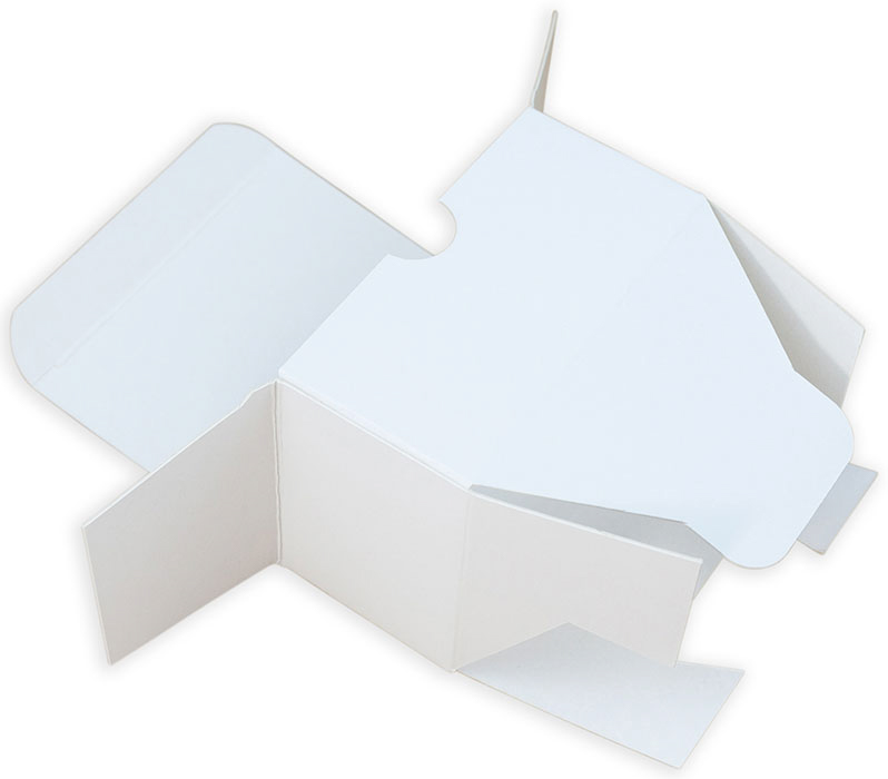 Faltschachtel Verpackung mit Steckboden aus Karton